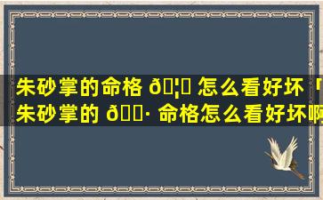 朱砂掌的命格 🦟 怎么看好坏「朱砂掌的 🌷 命格怎么看好坏啊」